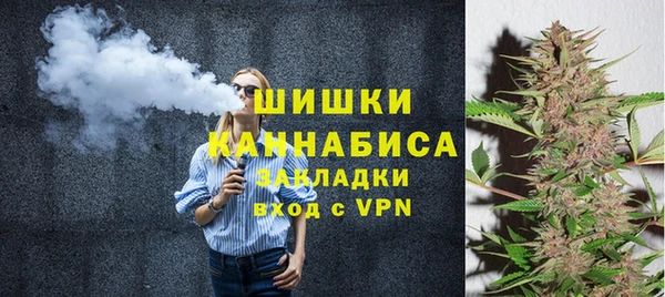 ПСИЛОЦИБИНОВЫЕ ГРИБЫ Гусиноозёрск
