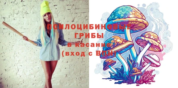 ПСИЛОЦИБИНОВЫЕ ГРИБЫ Гусиноозёрск