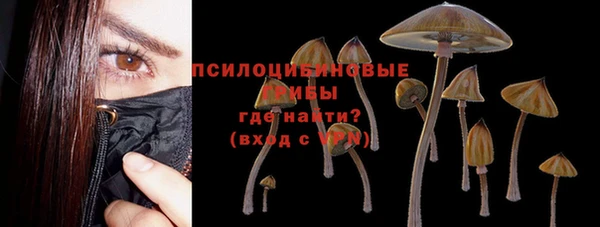 МДМА Гусев