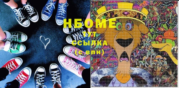 ГАЛЛЮЦИНОГЕННЫЕ ГРИБЫ Гусь-Хрустальный