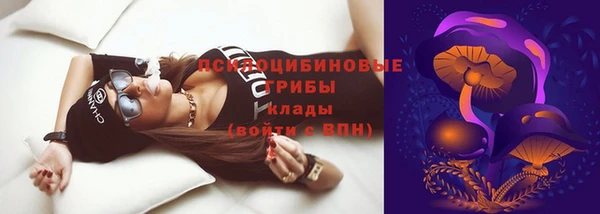 ПСИЛОЦИБИНОВЫЕ ГРИБЫ Гусиноозёрск