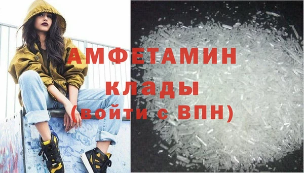 ГАЛЛЮЦИНОГЕННЫЕ ГРИБЫ Гусь-Хрустальный