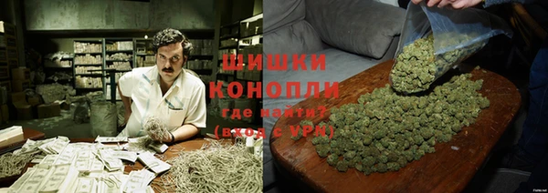 ПСИЛОЦИБИНОВЫЕ ГРИБЫ Гусиноозёрск
