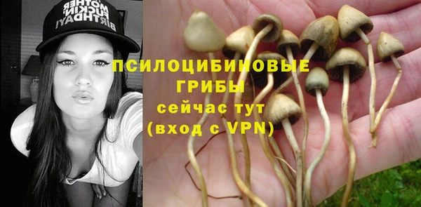 МДМА Гусев