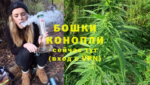 ГАЛЛЮЦИНОГЕННЫЕ ГРИБЫ Гусь-Хрустальный
