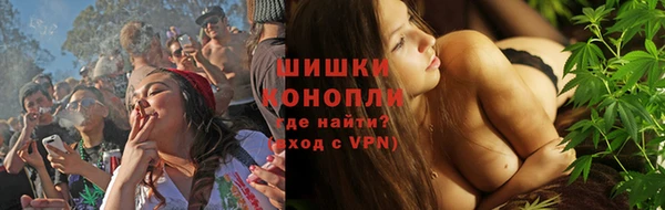 ГАЛЛЮЦИНОГЕННЫЕ ГРИБЫ Гусь-Хрустальный